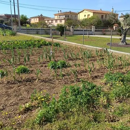 بيت للعطل El Roure