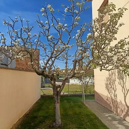 El Roure نافاتا